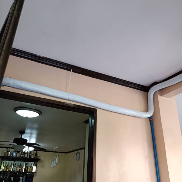 IMG20241106145928
